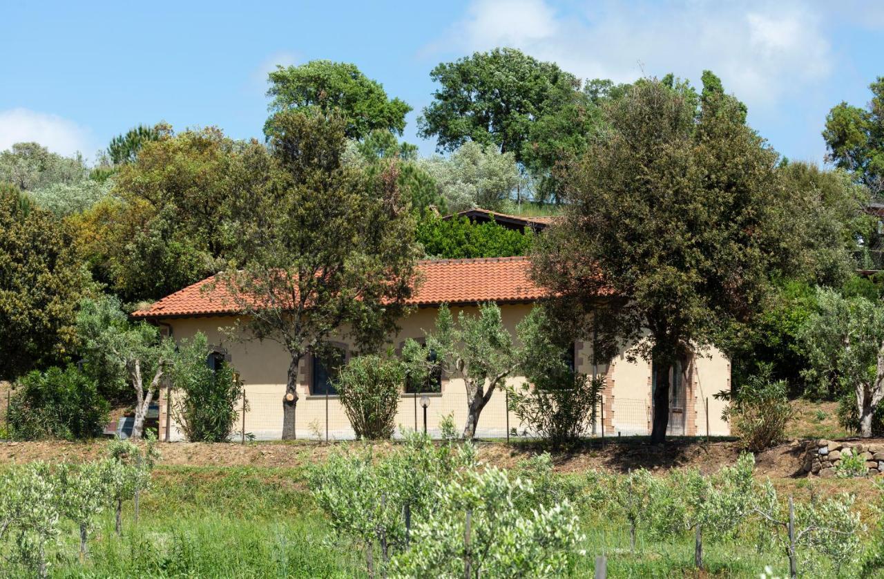 Le Pettegole Del Boschetto Βίλα Castiglione della Pescaia Εξωτερικό φωτογραφία